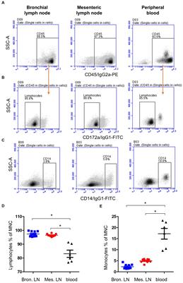 Flow cytometric analysis of immune cell populations in the bronchial and mesenteric lymph nodes of the dromedary camel